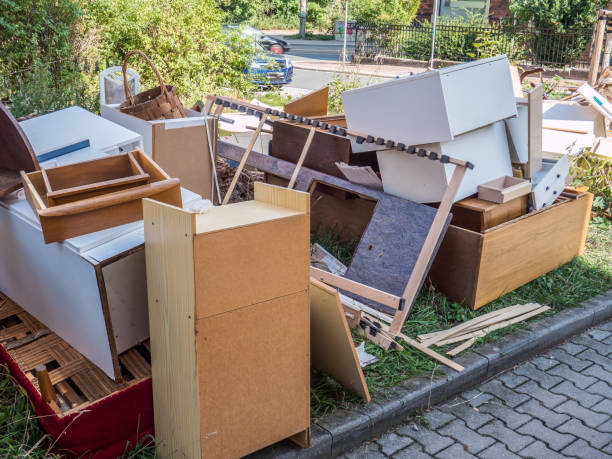 Best Professional Junk Removal  in Wilsons Mills, NC